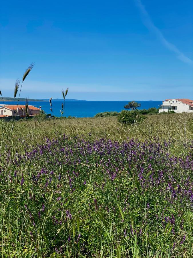 Villa Cvita Povljana Exterior foto