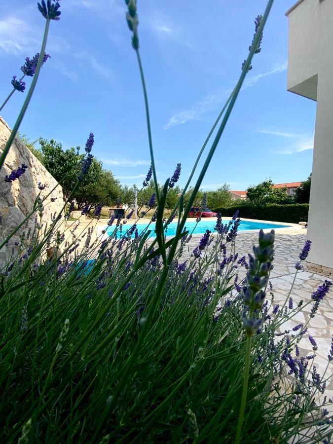 Villa Cvita Povljana Exterior foto