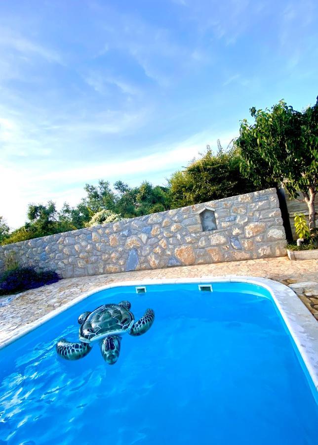 Villa Cvita Povljana Exterior foto